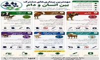 مهم ترین بیماری های مشترک بین انسان و دام 